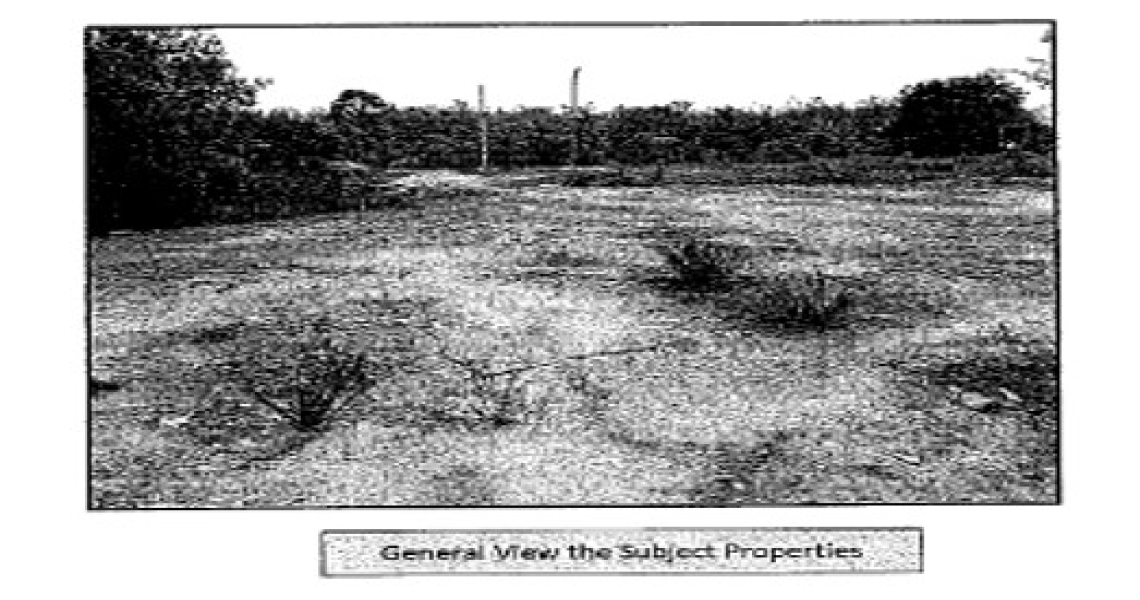 Picture1 - 3 Parcels.jpg